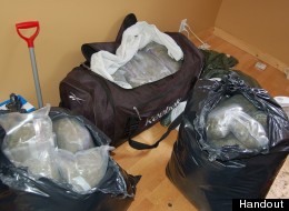 Mounties discovered more than 1,000 plants and about 23 kilograms of marijuana in a B.C. home. (Handout)