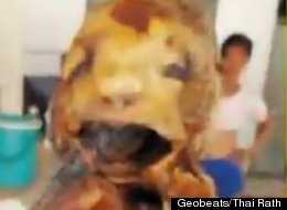 After a Thai woman found a cat carcass in her sausage, she decided to turn it into a shrine.