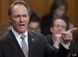 NDP MP Pat Martin called Conservatives 'dirty rotten bastards' for allegedly using dirty tricks in his riding. (CP)