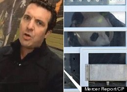 Rick Mercer clearly doesn’t think much of the panda-monium of last week. (YouTube/CP)