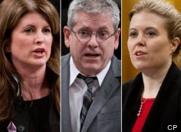 NDP ethics critic Charlie Angusis accused of making a sexist remark with his