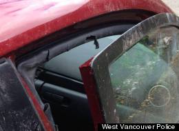 A Mazda 3 was extensively damaged after a bear allegedly attacked it in West Vancouver. (West Vancouver Police Department)