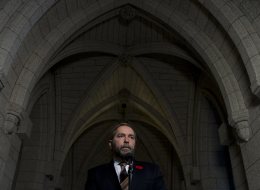 Thomas Mulcair's NDP need to get back in the running to remain the Official Opposition before they can aspire to form government. (CP)