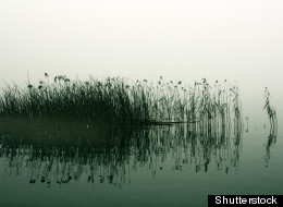 Shutterstock