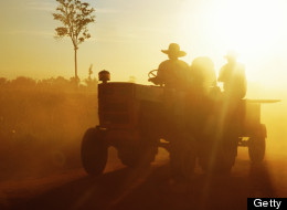 Court documents allege the assaults took place between July 2011 and Jan. 31, 2013, and involved the use of cattle prods and straps. GETTY