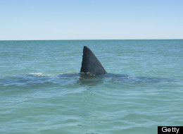Bruna Gobbi, an 18-year-old tourist, was attacked and killed by a shark off the coast of Brazil. (GETTY)