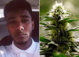 Sunith Baheerathan has lost his job after tweeting about wanting to buy some marijuana. (Twitter/AP)