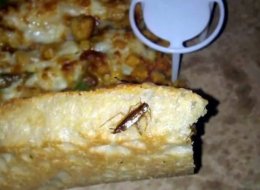 A British restaurant has been fined after this cockroach was baked into the pizza dough.