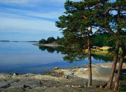 The man was caught pleasuring himself on a beach in Stockholm (file picture)