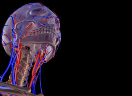 A UBC-led study has debunked a proposed treatment for Multiple Sclerosis, researchers say.
