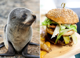 Quebec restaurant owner Kim Côté introduced a seal burger on his menu without much controversy until visiting French tourists didn't find it very funny. (Getty/Facebook)