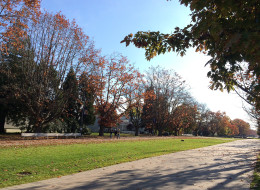 The UBC RCMP are set to provide an update on their investigation into a series of sex assaults.