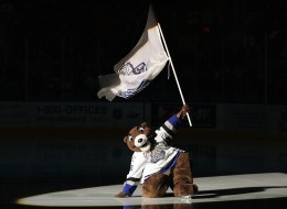 Marty the Marmot, the mascot for the Victoria Royals hockey team, won fans' sympathy after being attacked on the ice.