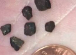 The rocks that Lippard says struck his son in the head.
