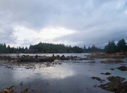 Environmentalists have filed a lawsuit to stop the federal government from approving the Northern Gateway pipeline, which would run from northern Alberta to Kitimat.