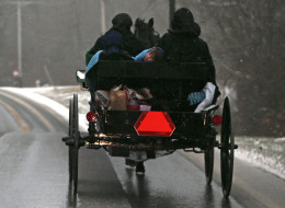 An Amish buggy during a snowfall on January 21, 2014 in Mechanicsville, Maryland. (Photo by Mark Wilson/Getty Images)