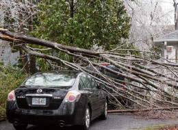 A broken tree limb rests on a parked home after a rare winter storm coated most of the South with ice on February 12, 2014 in Summerville, South Carolina. (Photo by Richard Ellis/Getty Images)