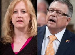 Transport Minister Lisa Raitt accused a veteran Liberal MP of comparing her to a dog in the House of Commons on Thursday. (CP)