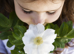 mother image via Getty Images