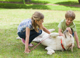 A Nova Scotia dog park bans children under the age of 12, citing safety concerns.