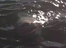 fisher86/YouTube