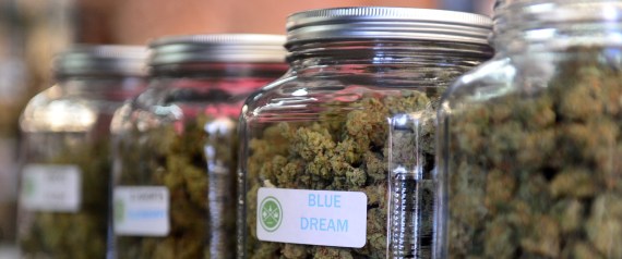 Illinois Legalizes Medical Marijuana For Children With Seizures