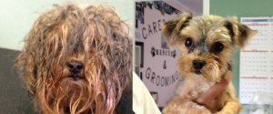 BOO BEFORE AFTER