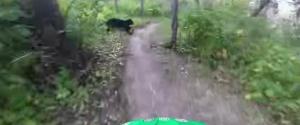 VIDEO GOPRO