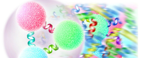 QUARK