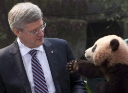 n-STEPHEN-HARPER-CHINA-large.jpg