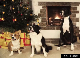 But do they still have their jingle balls?