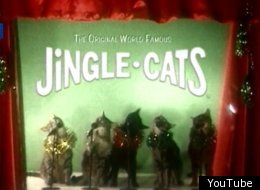 Jingle Cats Singing O Come All Ye Faithful