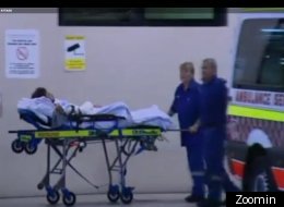 the surfer survived the shark attack by hitting the shark.