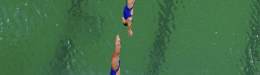 Image for Η ολυμπιακή πισίνα του Ρίο έγινε πράσινη και κανείς (ούτε οι διοργανωτές) δεν ξέρει γιατί
