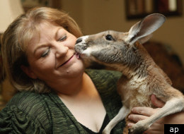 Christie Carr with her kangaroo