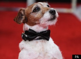 Uggie the dog from The Artist is nominated for two awards