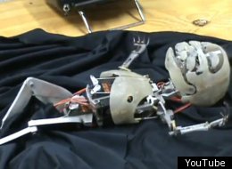 This animatronic baby was created by special effects designer Chris Clarke for use on TV.