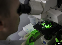 The pseudomonas bacteria has caused three babies in Belfast to die
