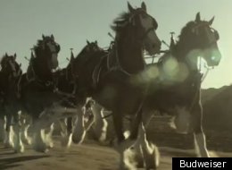 This Budweiser ad takes a look back at the end of Prohibition.