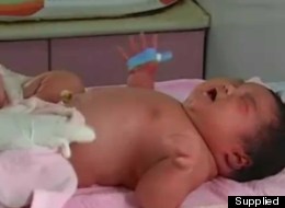 Chun Chun was born in China's central Henan province on Saturday