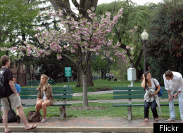 Students on Georgetown's central campus (Flickr)