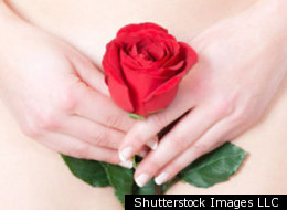 Shutterstock Images LLC