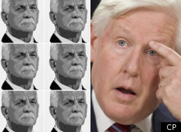 A Liberal employee was behind the Twitter account @vikileaks30 and has resigned, according to interim Liberal Leader Bob Rae. (CP)