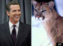 Gavin's the one on the left.