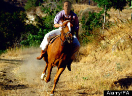 This is 'probably' what David Cameron looks like riding a horse