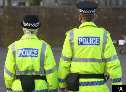 Police are set to bring in private companies to investigate crimes and patrol neighbourhoods