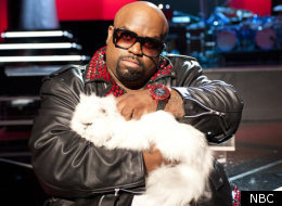 Cee Lo's cat Purrfect has become a star of
