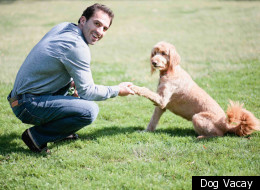 Man's best friend: Dog Vacay founder Aaron Hirschhorns believes dogs should have vacations, too.