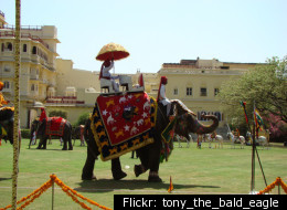 Elephant polo is played in Thailand, Nepal, Sri Lanka and Rajasthan (India).