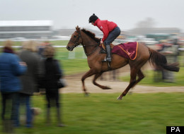 A rider on the gallops before day one of the 2012 Cheltenham Fesitval